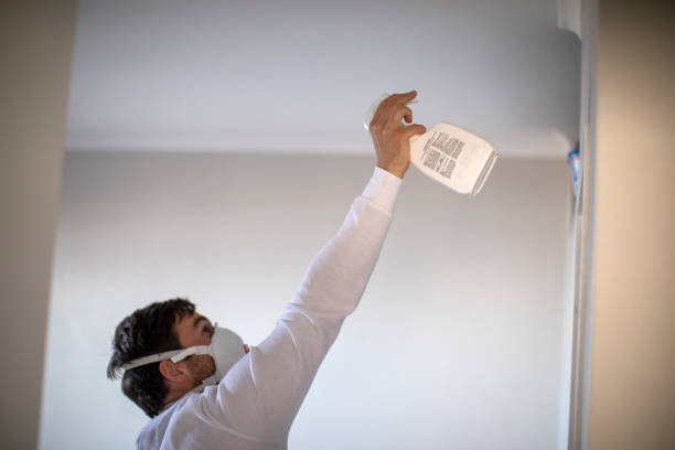 Best Emergency Mold Remediation in Fabens, TX