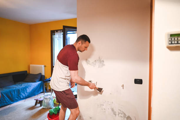 Best Post-Remediation Services in Fabens, TX